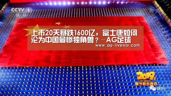 上市20天暴跌1600亿,富士康如何沦为中国最惨独角兽?-AG足球(图2) AG篮球