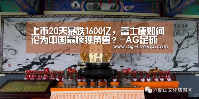 上市20天暴跌1600亿,富士康如何沦为中国最惨独角兽?-AG足球(图3) AG体育