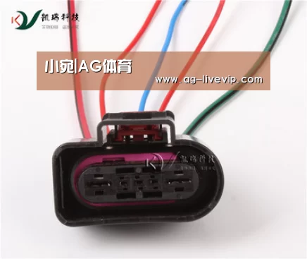 小宛|AG体育(图1) AG篮球