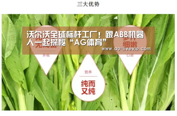 AG篮球